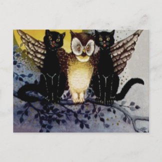 Owl Black Cat Full Moon Tree Night Postcard