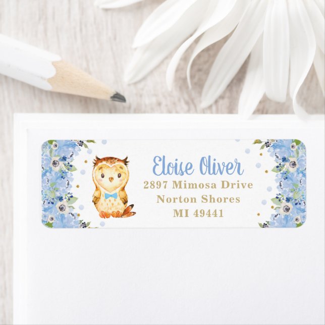 Owl Blue Floral Baby Shower Boy Birthday Address (Insitu)