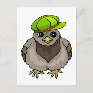 Owl Buddy Postcard
