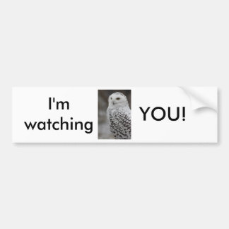 Owl Bumper Sticker