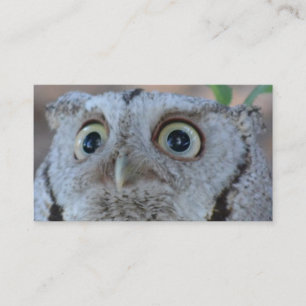 Owl business card