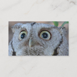 Owl business card