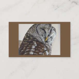 Owl Business Cards