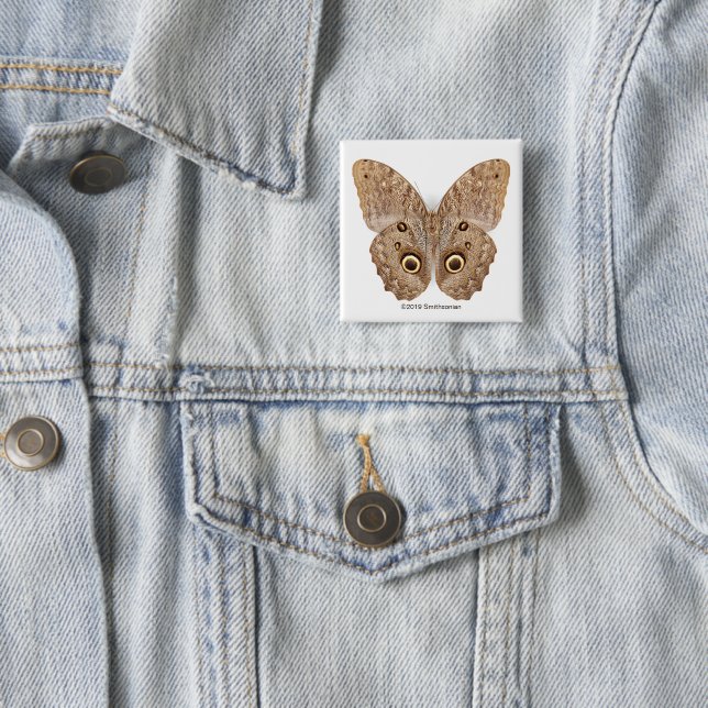 Owl Butterfly 15 Cm Square Badge (In Situ)