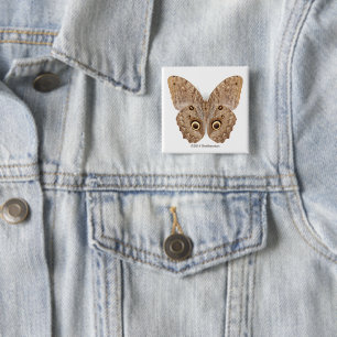 Owl Butterfly 15 Cm Square Badge