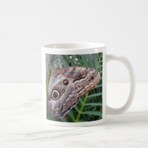 Owl Butterfly Coffee Mug