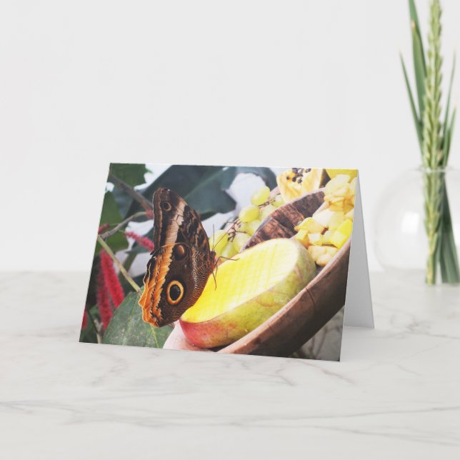 Owl butterfly holiday card (Front)