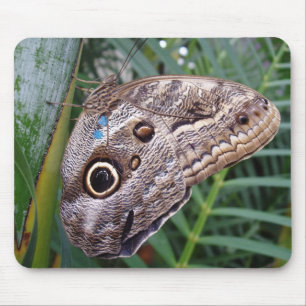 Owl Butterfly Mouse Mat