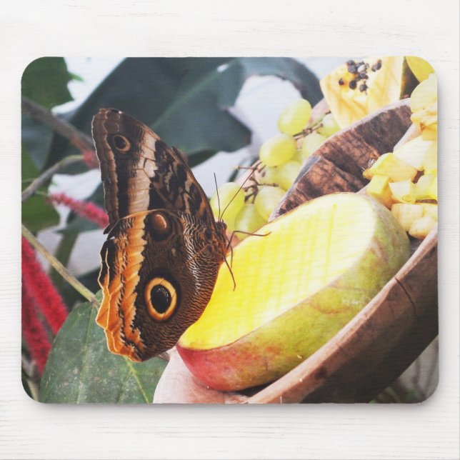 Owl butterfly mouse mat (Front)