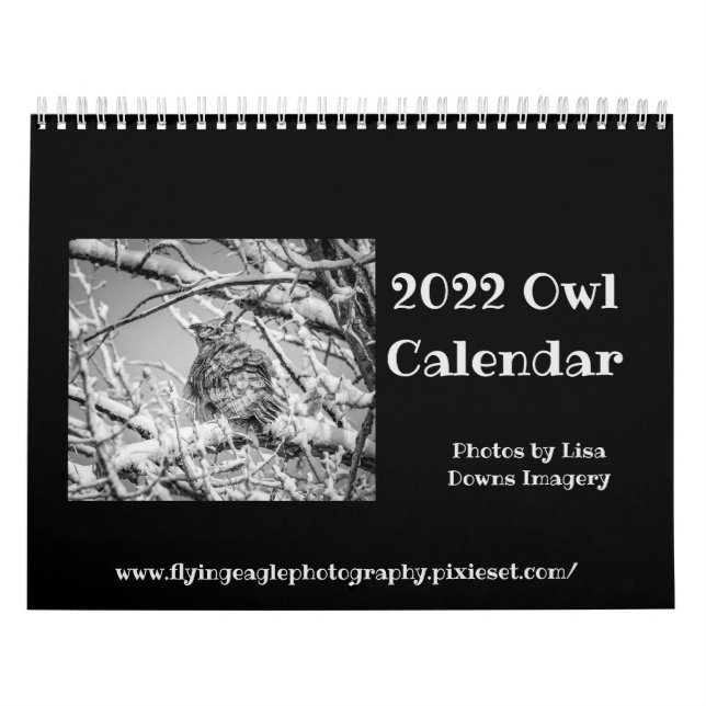 Owl Calendar 2022 (Cover)