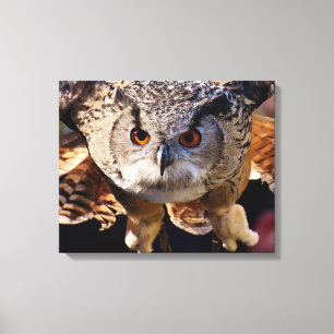Owl Canvas Print