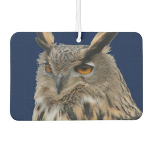 Owl Car Air Freshener