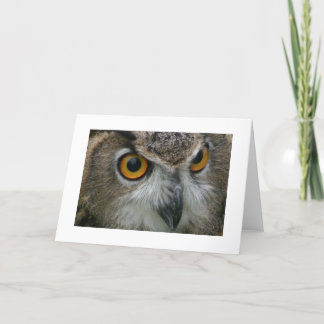 Owl Card