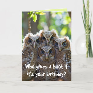 Owl card