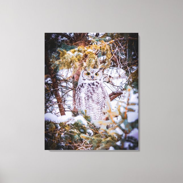 Owl Card Canvas Print (Front)