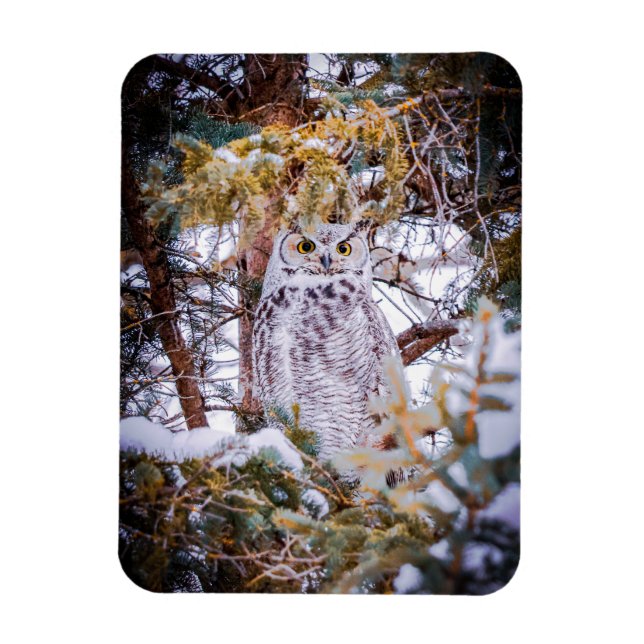 Owl Card Magnet (Vertical)