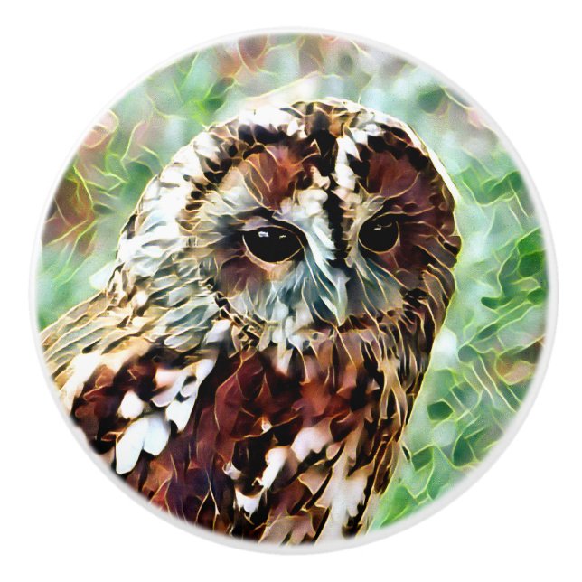 OWL CERAMIC KNOB (Front)