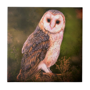 Owl Ceramic Tile