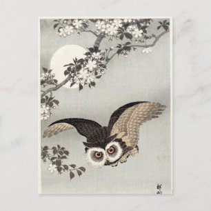 Owl, Cherry Blossoms, and Moon by Ohara Koson Postcard