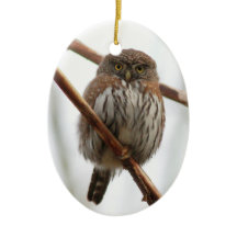 Owl Christmas Ornament - Northern Pygmy-Owl
