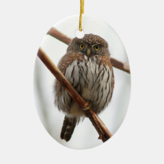 Owl Christmas Ornament - Northern Pygmy-Owl