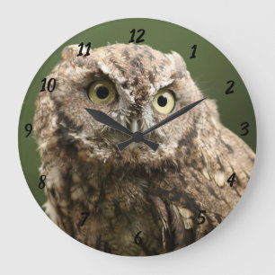 Owl Clock, Large Clock