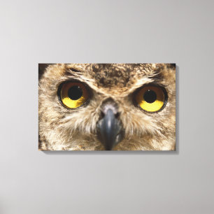 Owl Close-Up Canvas Print