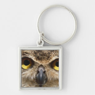 Owl Close-Up Key Ring