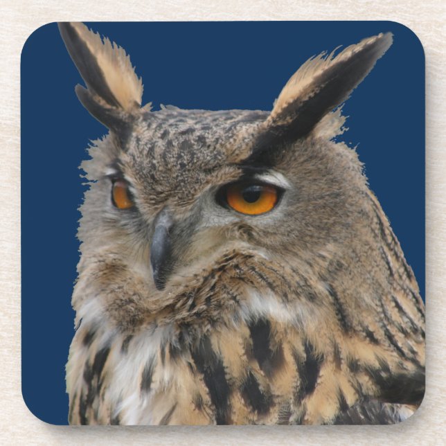 Owl Coaster (Front)