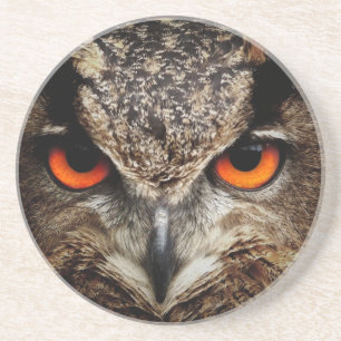 Owl Coaster