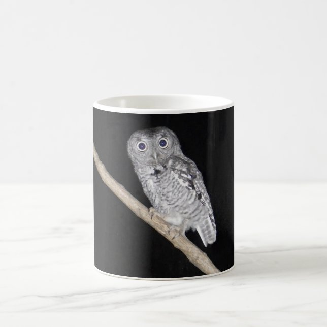 Owl Coffee Mug (Center)