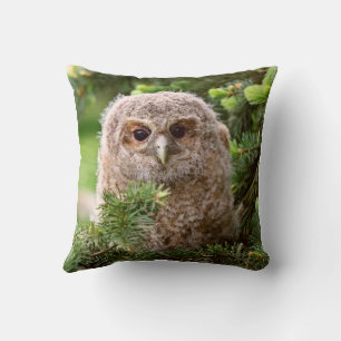 Owl Cushion