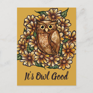 Owl daisies postcard