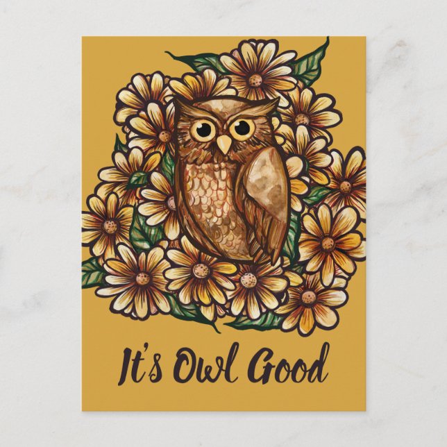 Owl daisies                                        postcard (Front)
