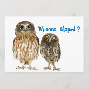 Owl Duo Who Eloped Announcement