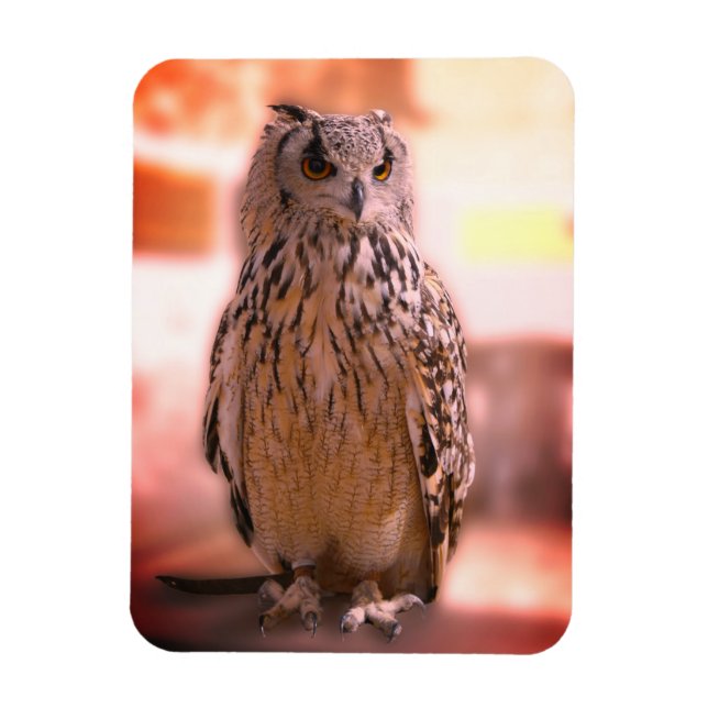Owl Experience Somerset Magnet (Vertical)