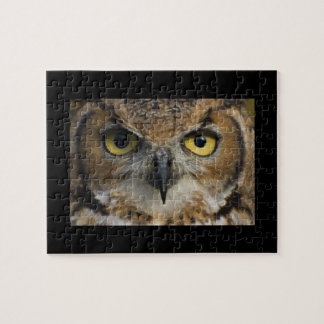 Owl Eyes Jigsaw Puzzle