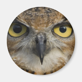 Owl Eyes Magnet