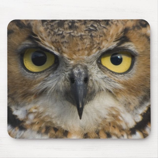 Owl Eyes Mouse Mat (Front)