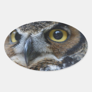 Owl Eyes Oval Stickers