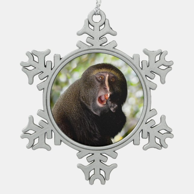 Owl-faced monkey eating a fruit  snowflake pewter christmas ornament (Front)