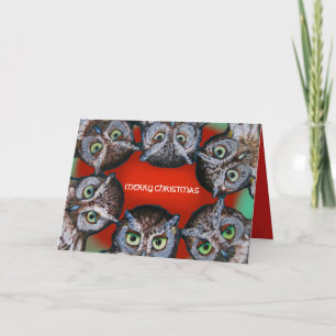 OWL FACES CHRISTMAS by Slipperywindow Holiday Card
