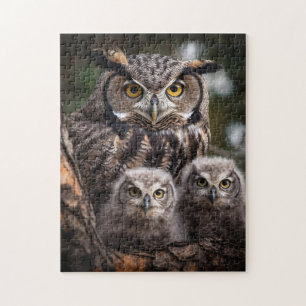 Owl Family Puzzle