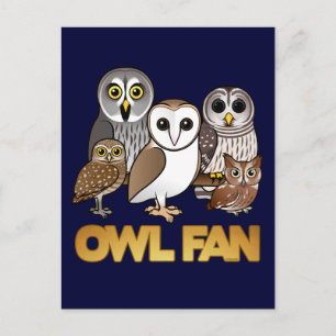 Owl Fan Postcard