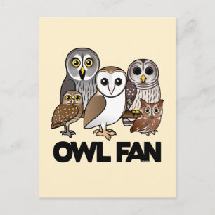 Owl Fan Postcard