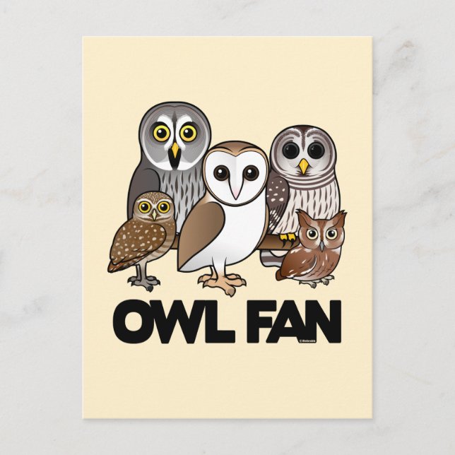 Owl Fan Postcard (Front)