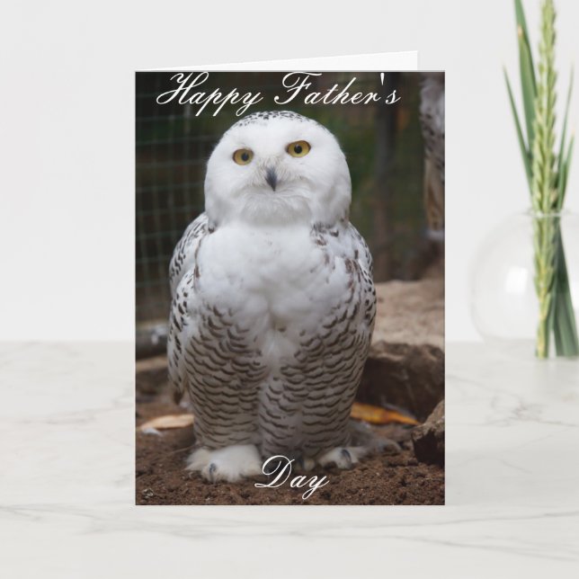 owl father's day card. card (Front)