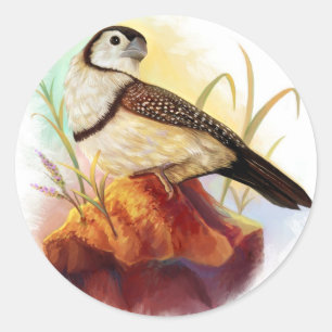 Owl finches realistic painting classic round sticker