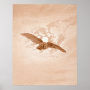 Owl Flying against a Moonlit Sky Caspar Friedrich Poster