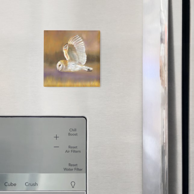 Owl Flying Magnet (In Situ (Fridge))